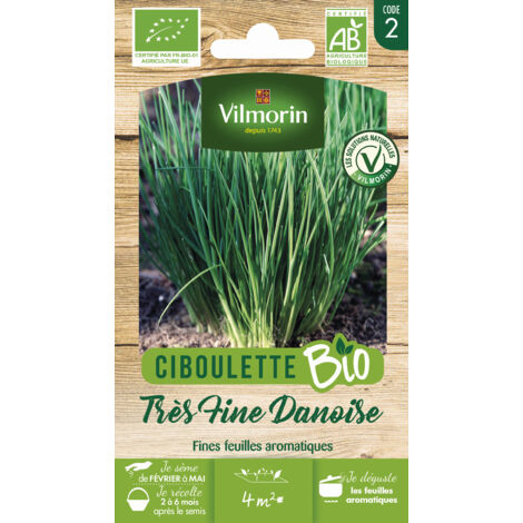 Vilmorin - Ciboulette Très fine danoise