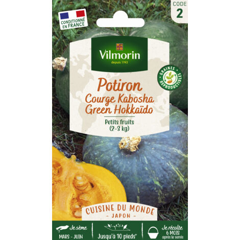 Vilmorin - Courge Kabocha Hokkaido