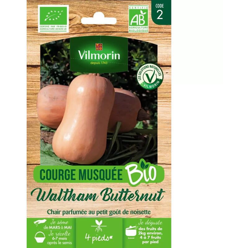 Vilmorin - Sachet graines Courge Musquée Waltham Butternut bio - Cucurbita pepo