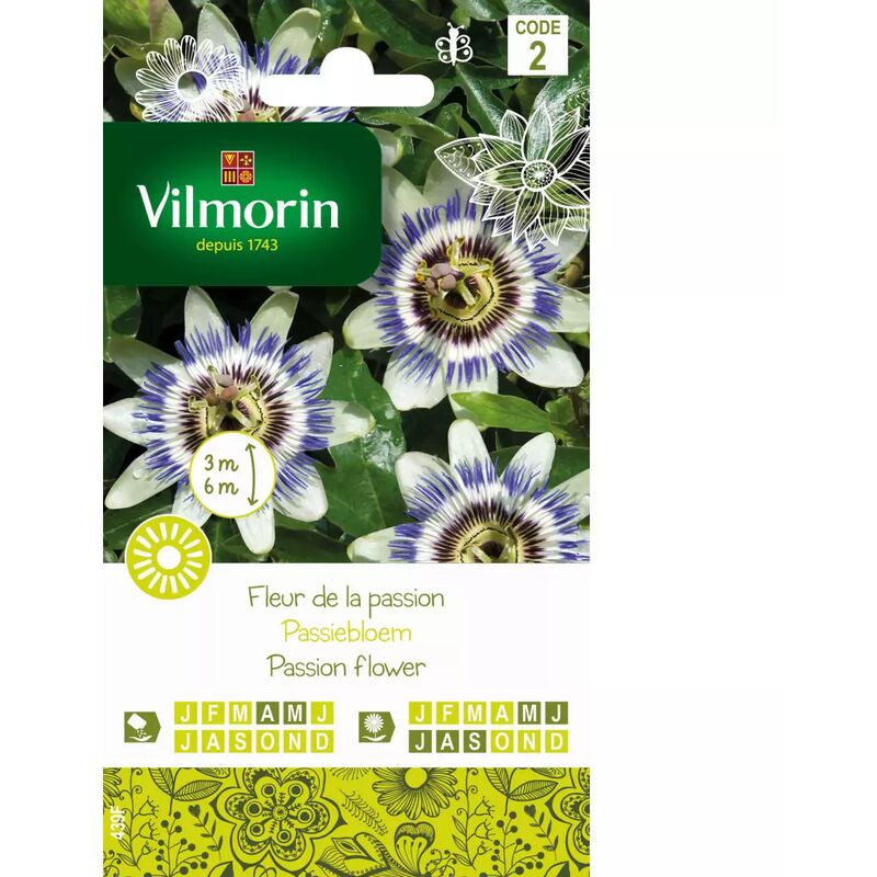 Vilmorin - Sachet graines Fleur de la Passion