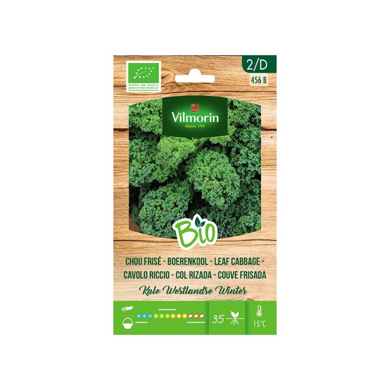Vilmorin - Garden Bio Seeds of Coldedied (Kale) sur 1 gr