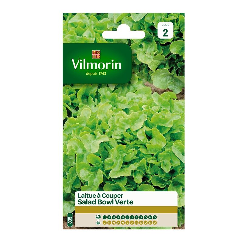 Vilmorin - Garden Bio Seeds of Cut Salad Bowl environ 4 gr