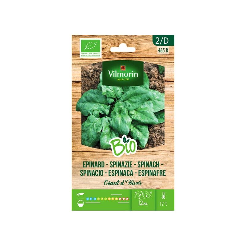 Vilmorin - Garden Bio Seeds of Giant Winter plus de 10 gr