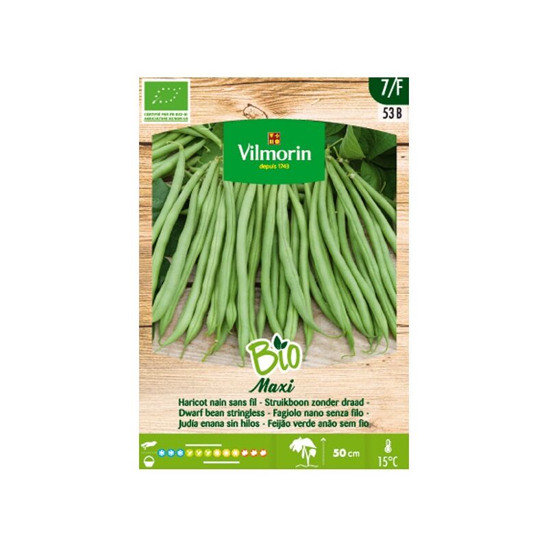 Vilmorin - Garden Bio Seeds of Jew Baja Maxi, Box 100 gr