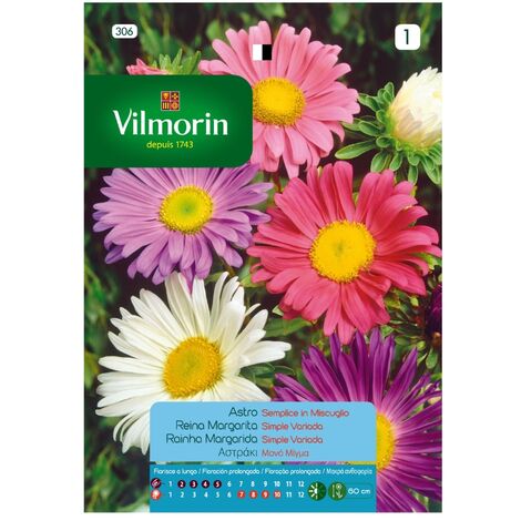 Vilmorin Graines de Queen Simple Margarita vari S-1, 0,8 gr