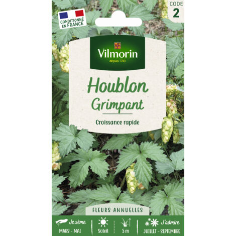 Vilmorin - Houblon du Japon