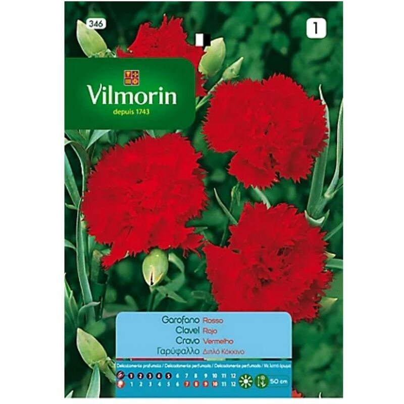 Vilmorin - Rouge de carnation rouge Fleurs S-1, 0.6 gr