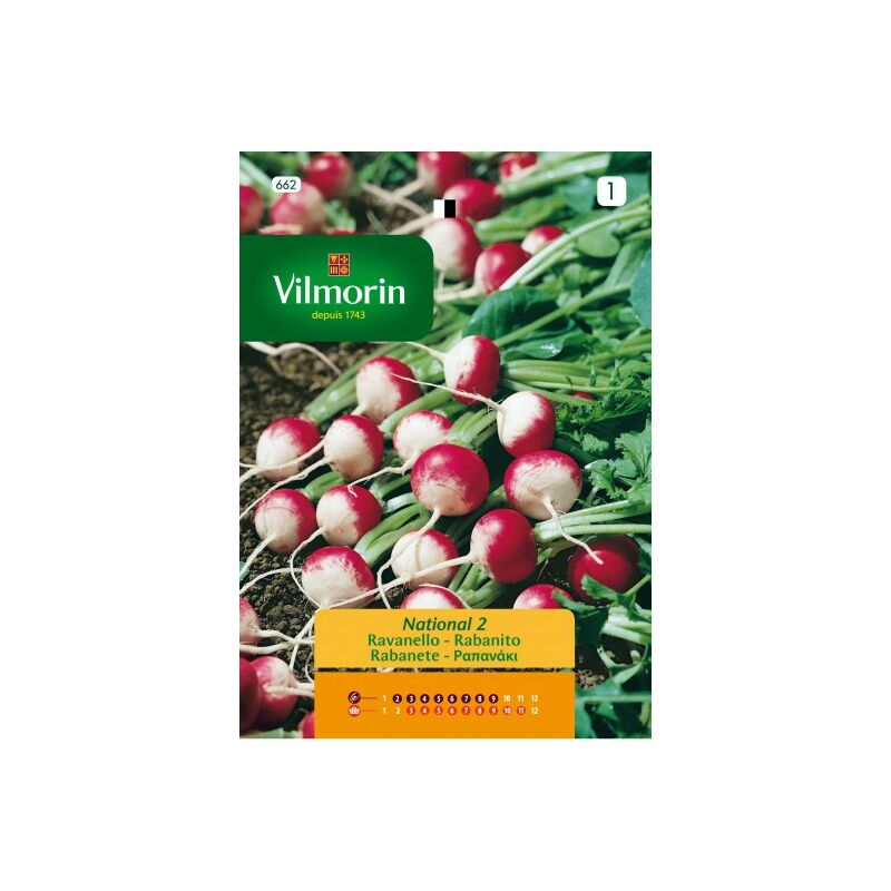 Vilmorin - multicolore rond lapin graines S-1, 4 gr