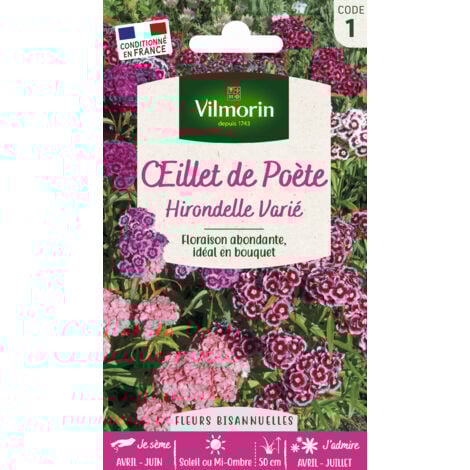 Vilmorin - Oeillet de Poète Hirondelle Varié