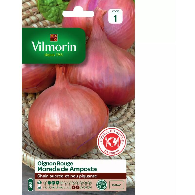 Vilmorin - Sachet graines Oignon rouge Morada de Amposta