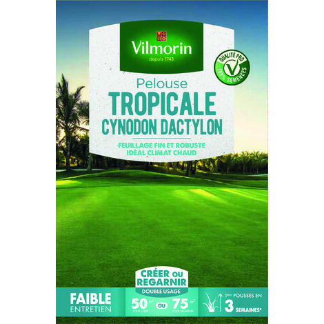 Pelouse tropicale Cynodon Dactylon 500 g – Gazon résistant à la chaleur – Exposition soleil – Taux de germination supérieur de 10% – Vilmorin