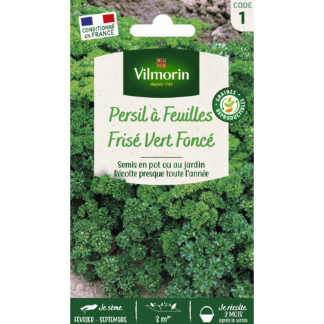 Persil frisé vert foncé – Semis de février à septembre – Idéal en pot ou jardinière – Récolte toute l'année – Vilmorin
