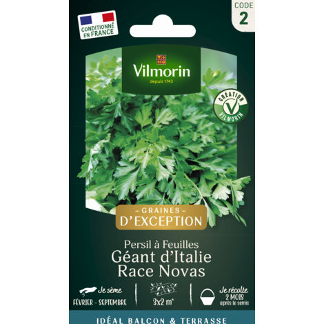 Vilmorin - Persil géant d'Italie race Novas