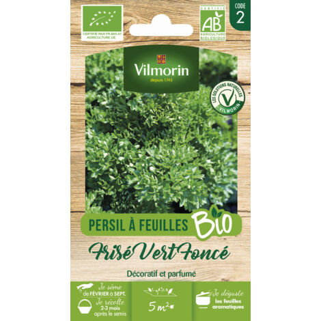 Vilmorin - Persil Vert Frise BIO