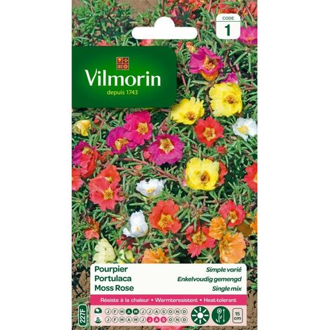 Vilmorin - Pourpier Simple Varié