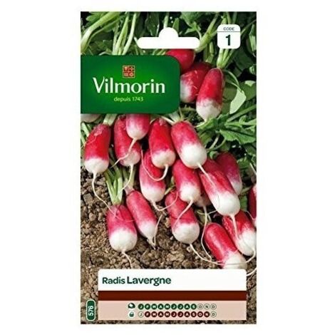 Vilmorin - Radis Pernot Lavergne