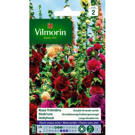 Vilmorin - Rose Trémière Double Grande Variée