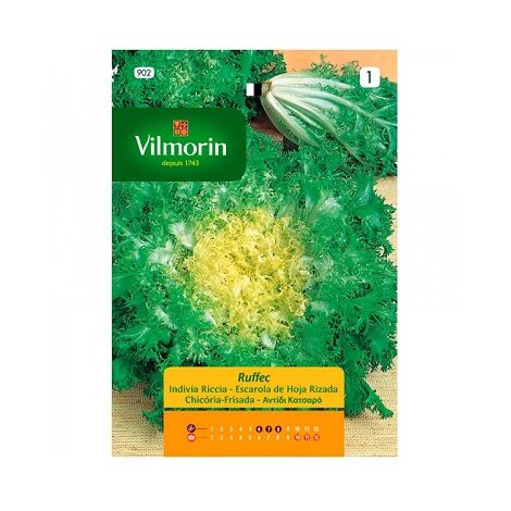 Vilmorin Ruffec S-1 902 Semences Escarole, sur 8 gr