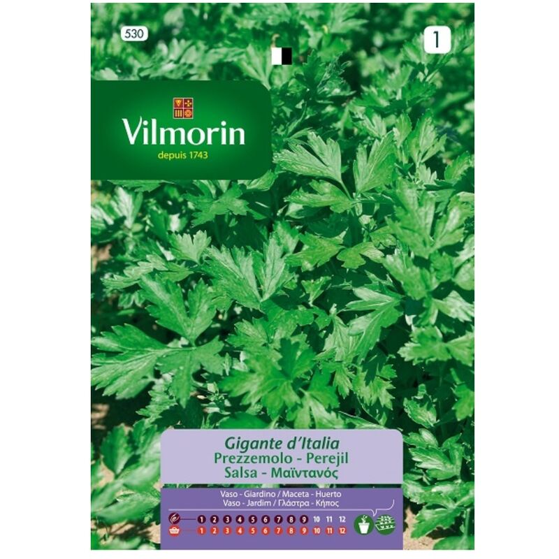 

VILMORIN Semillas de PEREJIL GIGANTE ITALIA AROMÁTICO S-1 530, 14 gr