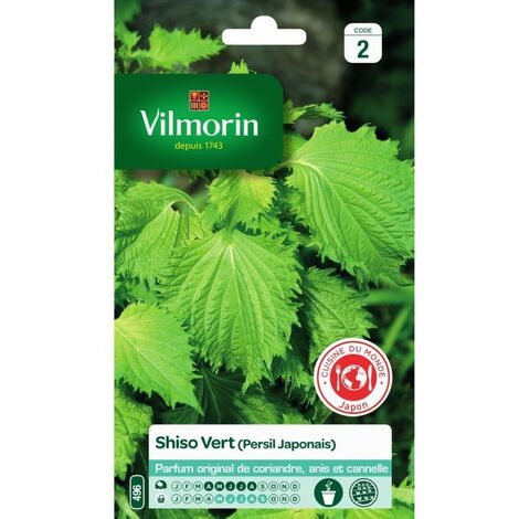 Vilmorin - Shiso Vert (persil Japonais)