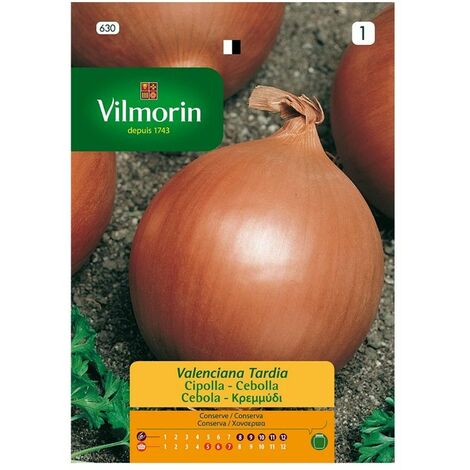 Vilmorin TardРA Valencian Zwiebelsamen, Ref: 630, Щber 5 g