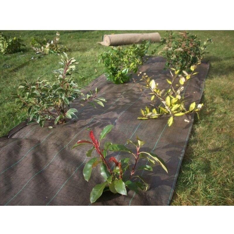 Toile de Paillage Tissée - 1.05 m x 10 m - Vert Vilmorin