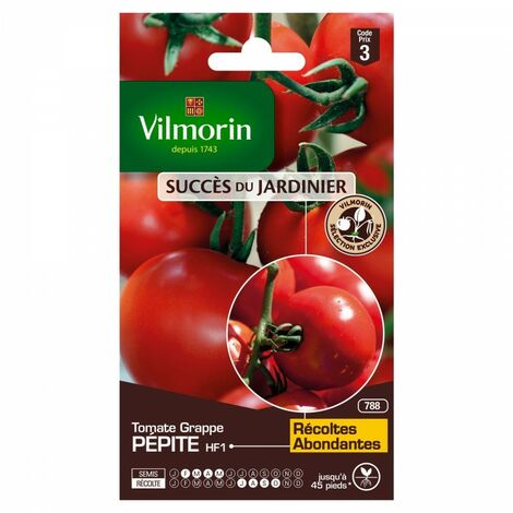 Vilmorin - Tomate Pépite HF1 (Création Vilmorin) (à grappe) - SDJ