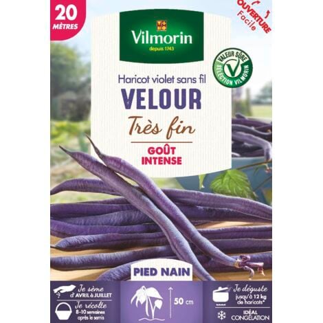 Vilmorin - Velour 20M (violet) (Sélection Vilmorin - )