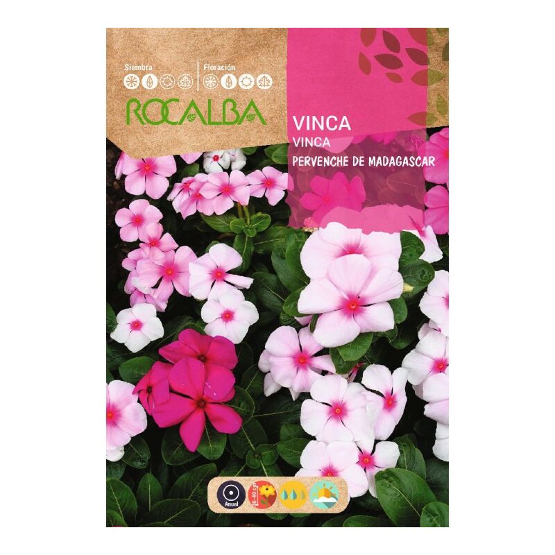 

Vinca Pervenche De Madagascar Variada - Sobre De Semillas 0,5G