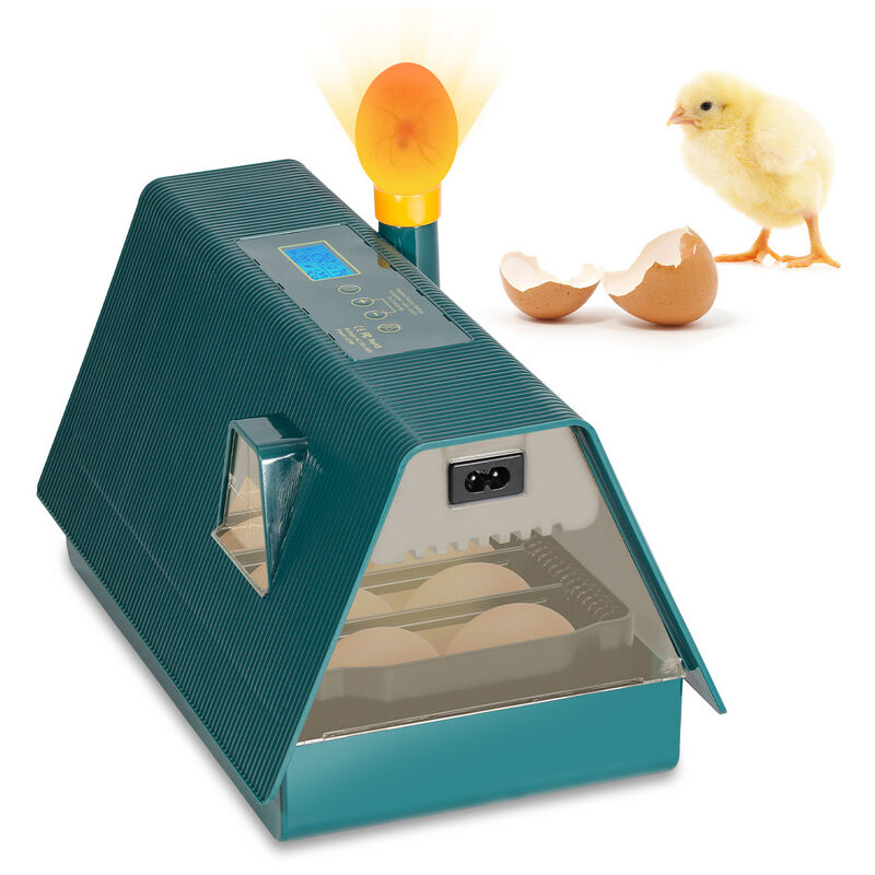 Couveuse automatique de 10 œufs de poules à affichage digital de la température Automatique mini pour Couver Poule Canard Caille œufs de canard