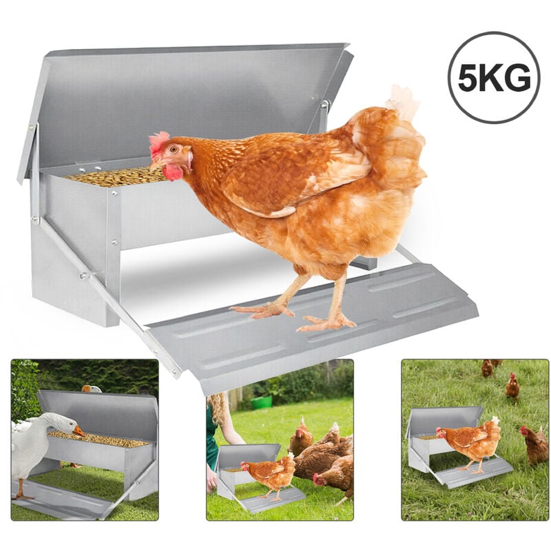 VINGO Mangeoire automatique pour poules - Capacité : 5 kg - Alimentation automatique pour volailles, poules, canards