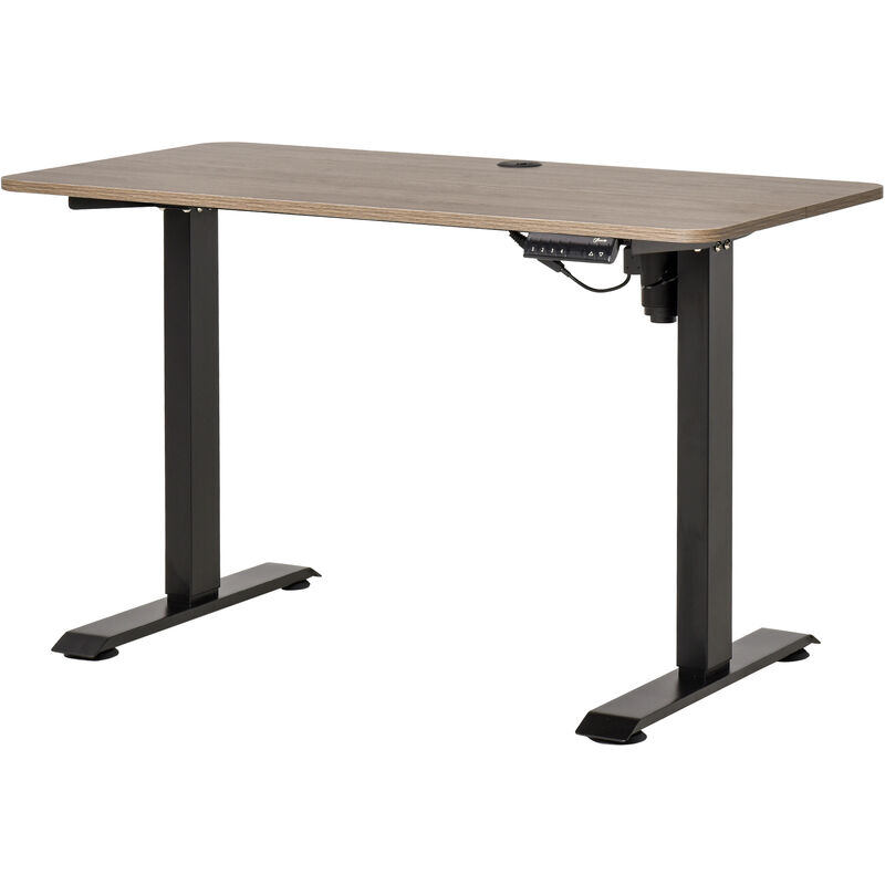 

Escritorio Eléctrico de Pie Escritorio de Altura Ajustable para Oficina con 4 Teclas de Memoria Automática Inteligente 120x60x72-116 cm Marco Negro