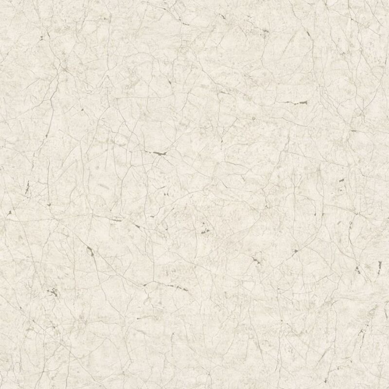 

Papel de pared Stucco Crackle gris y blanco - Multicolor - Vintage Deluxe