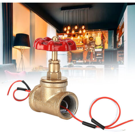 [Vintage Lampenschalter] 3/4"-Ventilschalter für Industrielampenzubehör, Kupfer und Rot, Größe ca. 55 x 90 mm, Material: Eisen