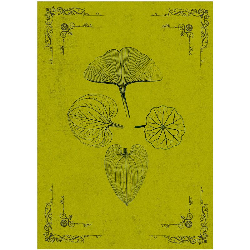 

VINTAGE - Póster Artístico Firmado – Hojas - 30x40cm