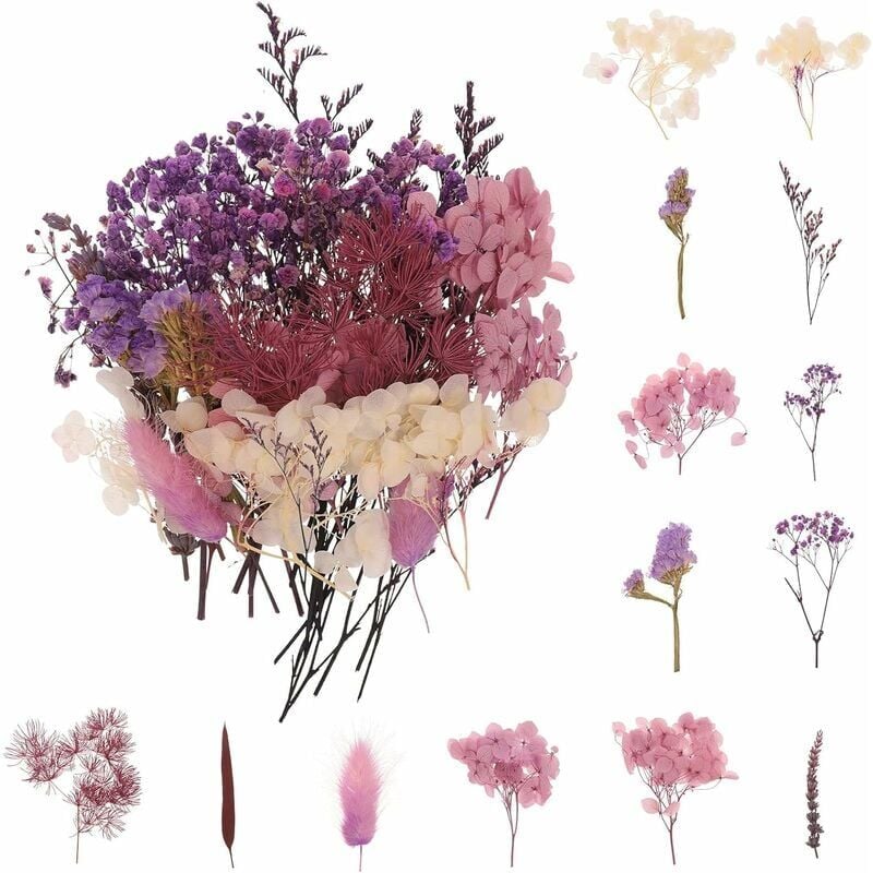Violet) Bouquet de fleurs séchées naturelles Décoration de fleurs pressées pour le bricolage Décoration de fleurs en époxy Nail Art Bricolage Bougie