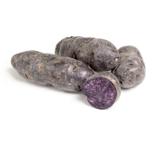 Violet Sun 25 Plants de pomme de terre. . Marque : DEBAERE. Réf. : Violet Sun 25 Plants