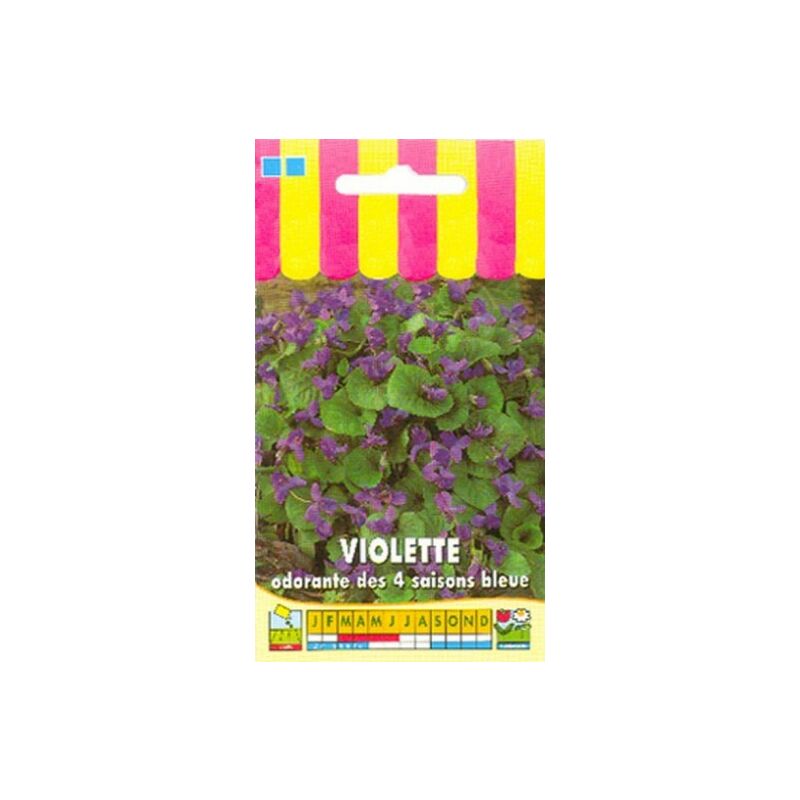 Grainesbocquet - Violette odorante des 4 saisons - 0,3g
