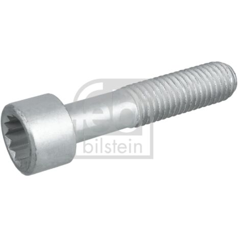 VIS 09455 FEBI