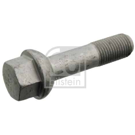 VIS 09806 FEBI