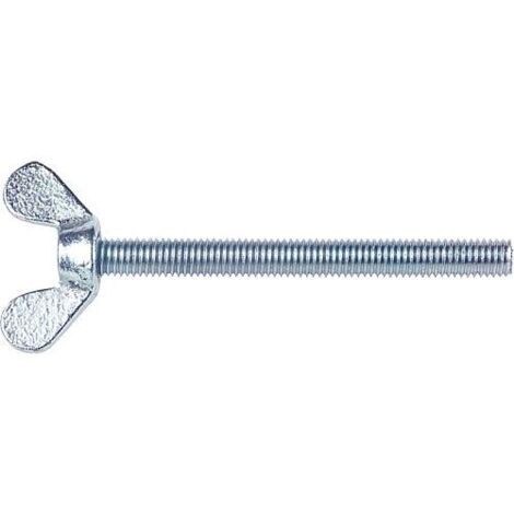 Vis à chapeau, forme allemande DIN 316 A2 M 8X30 conditionnement : 25