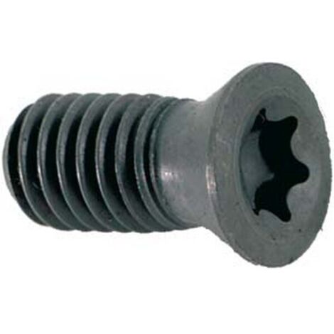 Vis à empreinte TORX® pour plaquette amovible, Modèle : Vis à empreinte TORX® pour plaquette amovible