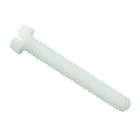 Vis à métaux tête cylindrique fendue PA 6,6 naturel - 6 x 10 mm- Vendu par 200