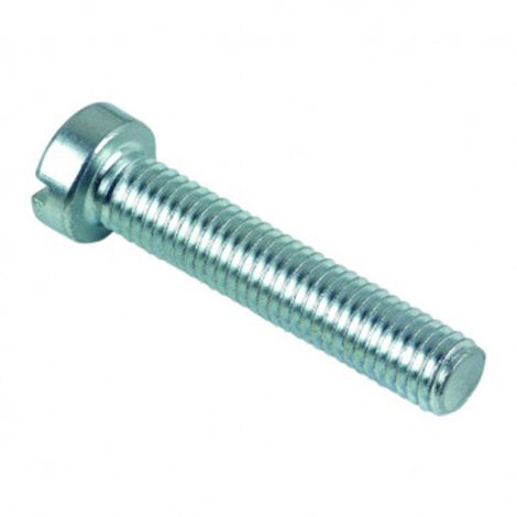 Vis à métaux tête cylindrique fendue Zingué - 3 x 20 mm- Vendu par 500