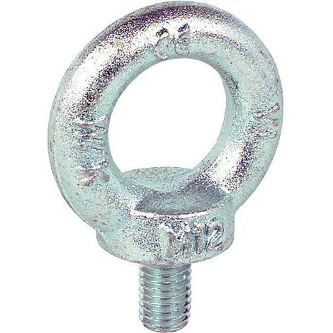 Vis a oeil C15 M 8 / L 13 mm comme DIN 580 / zingue