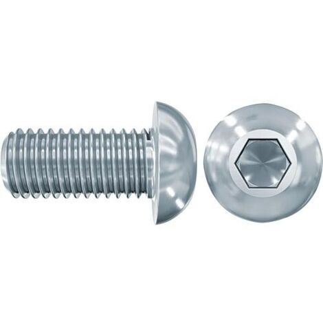 Vis à tête bombée Fischer LKS M12x25 A2