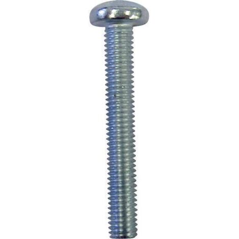 VIS À TÊTE BOMBÉE TOOLCRAFT 839892 100 PC(S) M4 10 MM TÊTE BOMBÉE TORX ACIER INOXYDABLE DIN 7985