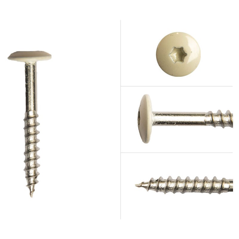 Vis à tête colorée en acier inoxydable beige 4.8 x 38 mm - Boîte