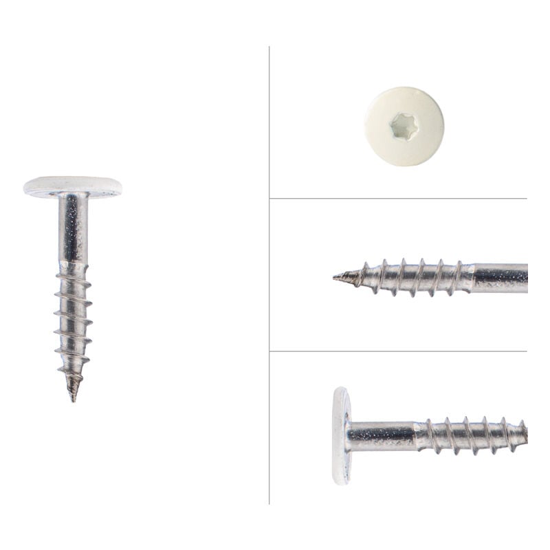 Vis à tête colorée en acier inoxydable blanc 4.8 x 25 mm - Boîte