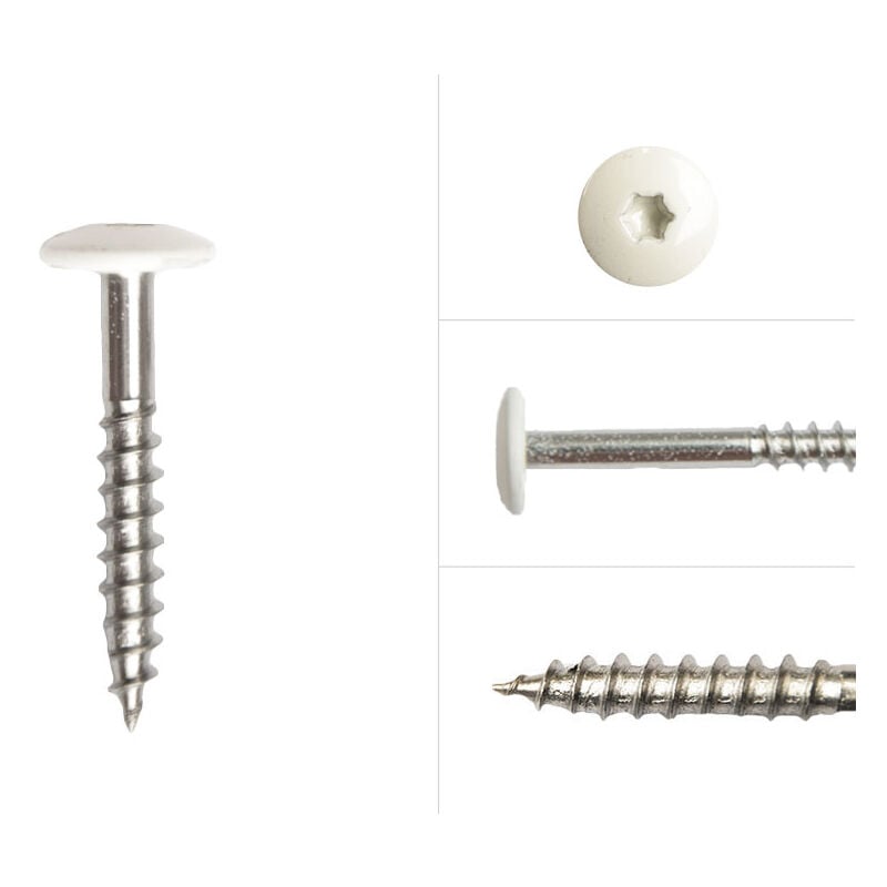 Vis à tête colorée en acier inoxydable blanc 4.8 x 32 mm - Boîte